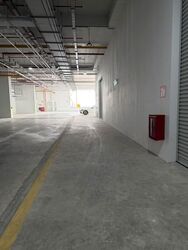 Ct Foodnex (D25), Factory #626380231